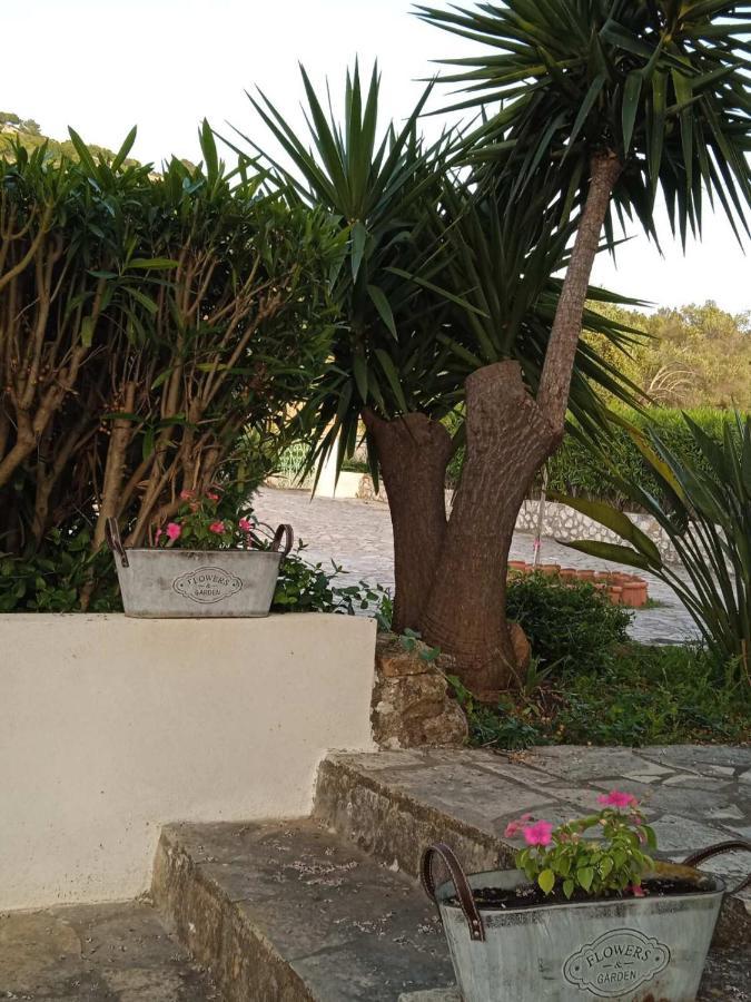 Julietta Suites Argostoli  Exteriör bild